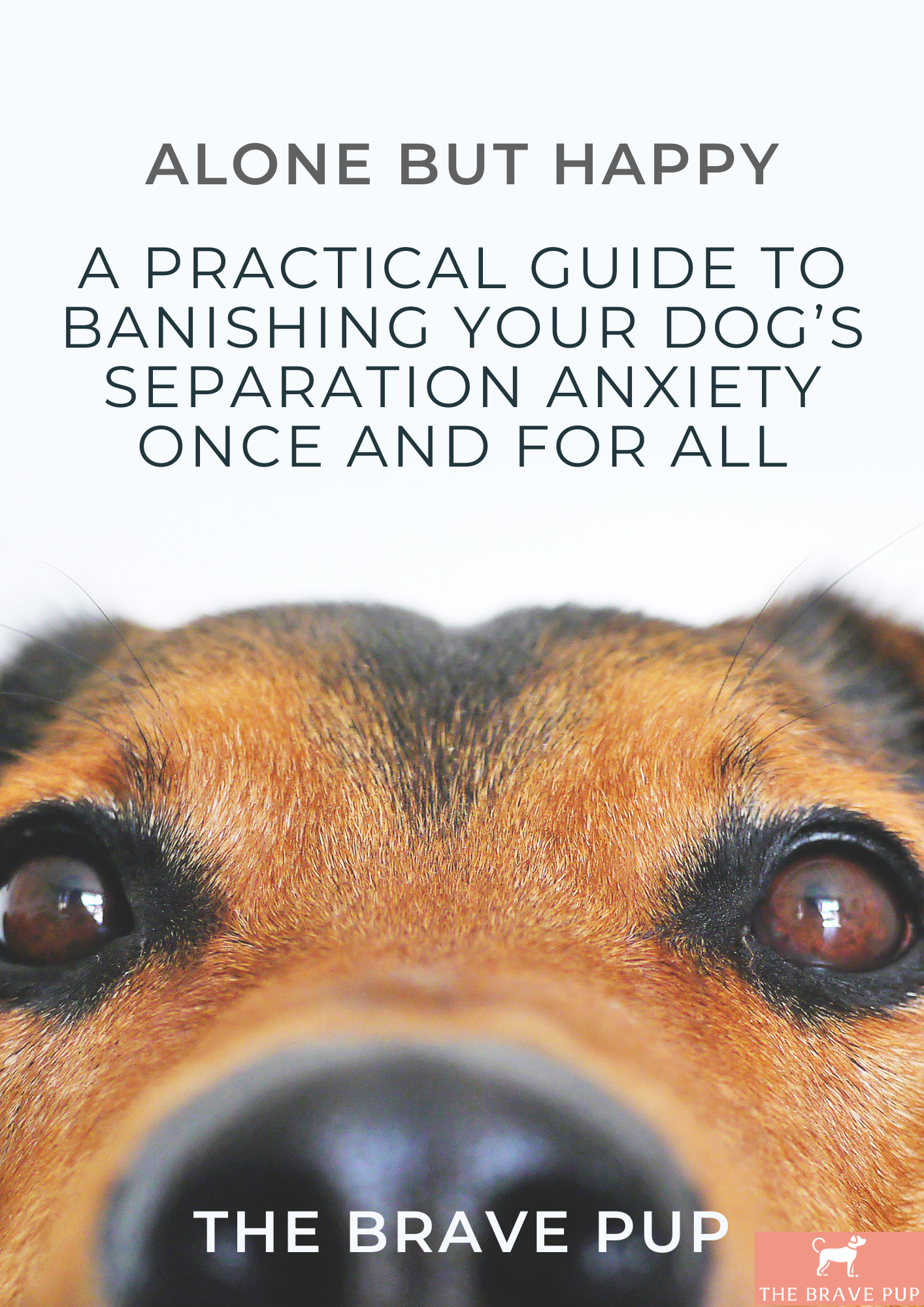 Alone But Happy: A Practical Guide To Banishing Your Dog's Separation Anxiety Once And For All